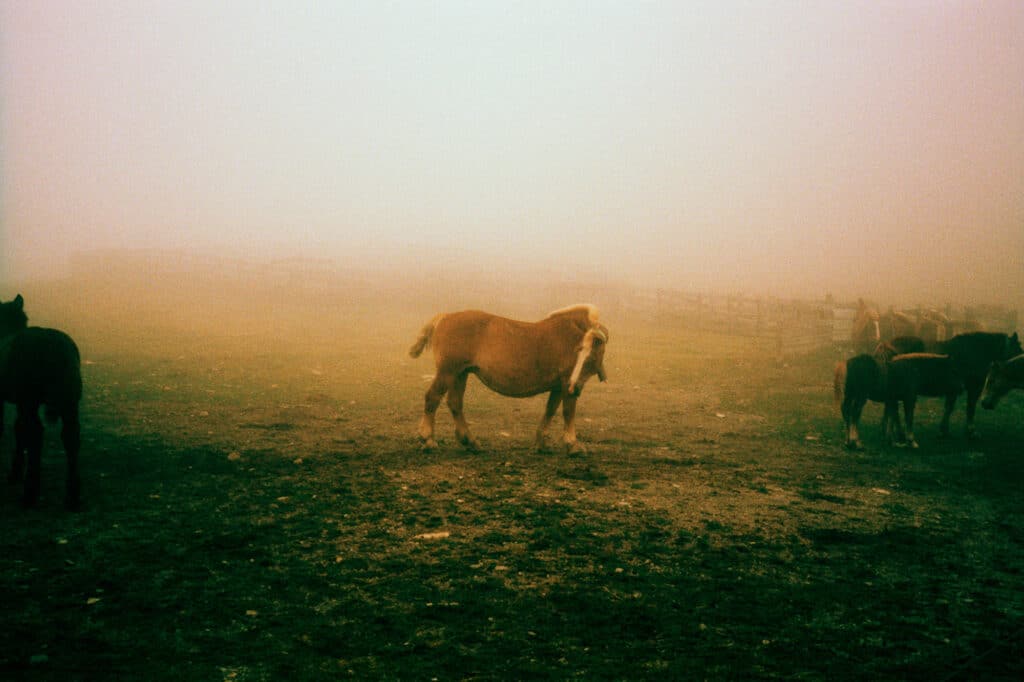 Aux jours inoubliables / ©Gaël Bonnefon with the kind permission of the editions SUN / SUN