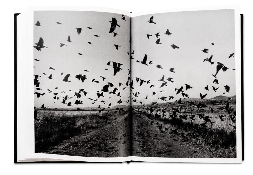 The Mennonites, Larry Towell, Mai 2022