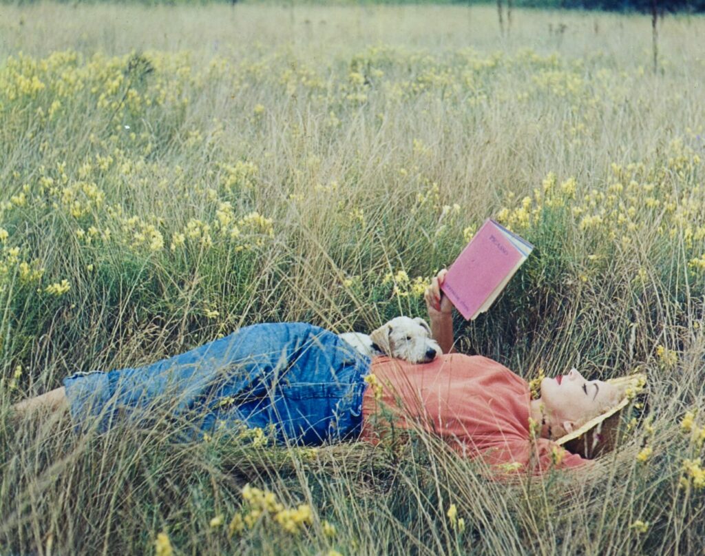 Lisa Fonssagrives-Penn lying in a field of grass, reading Gertrude Stein’s Picasso book, 1952, Vogue © Condé Nast / Irving Penn