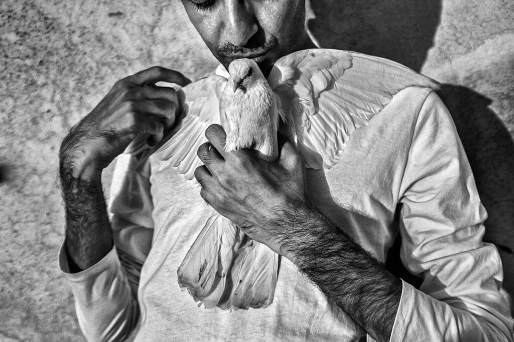 Free from freedom. A young boy holds a pigeon that has been brought to market for sale in Tabriz, Iran, on August 10, 2015. Labyrinth explores the socio-psychological experiences of Iran’s post-revolutionary generation, sharing a window into the experience of a repressed youth facing high rates of unemployment and anxiety for the future.