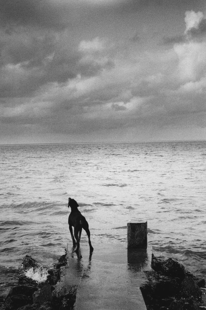 Mauritius, 1989 © Michel Vanden Eeckhoudt / Agence VU