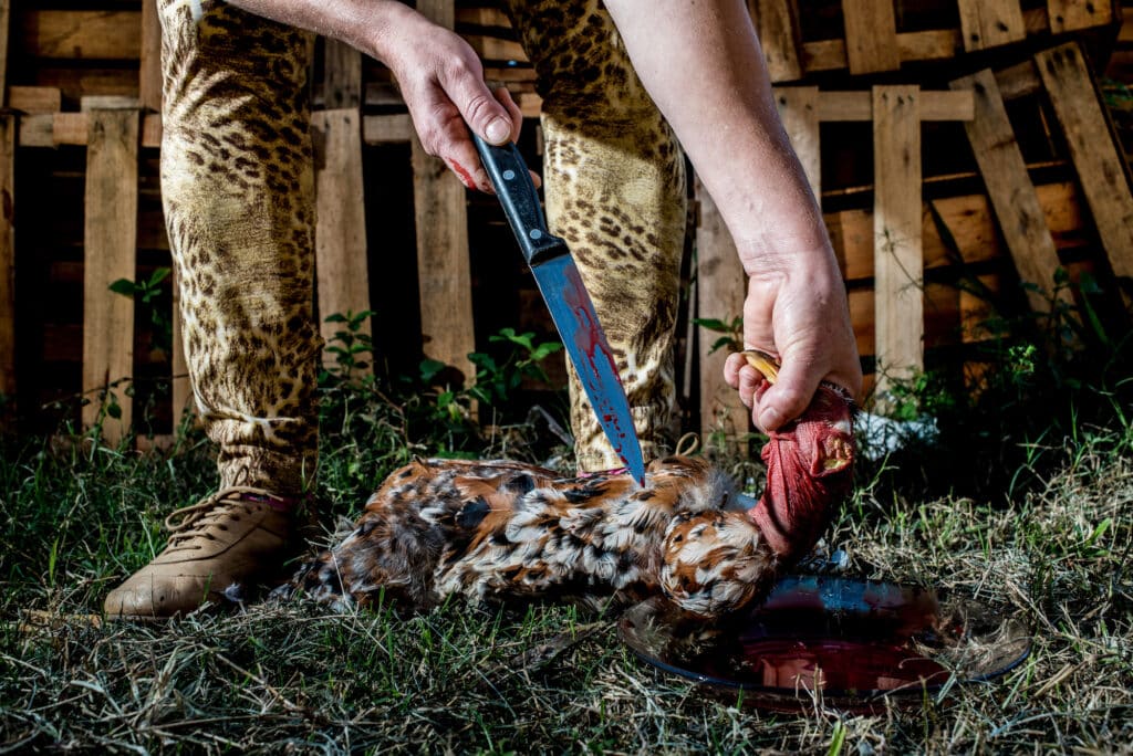 Sitio do Buriti with Paulo Roberto and Regina. Paulo Roberto is a banana, palm and vegetable grower. Regina, here, kills a chicken for lunch. August 5, 2015. Piau / Brazil.