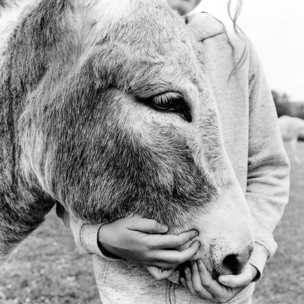 Série Le cheval de Monsieur Peillon et autres histoires © Anne Rearick, Galerie Clémentine de la Feronnière / Agence VU'