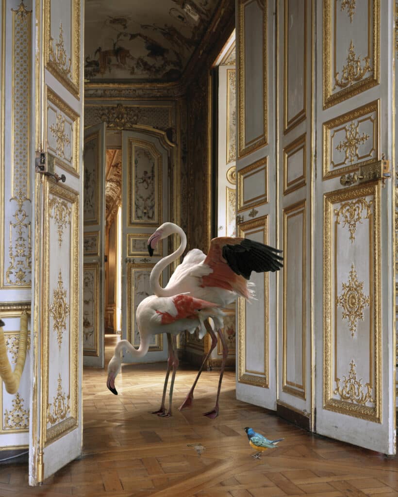 The Grand Monkey Room (2), Château de Chantilly, 2006 © Karen Knorr _ Galerie Les Filles Du Calvaire