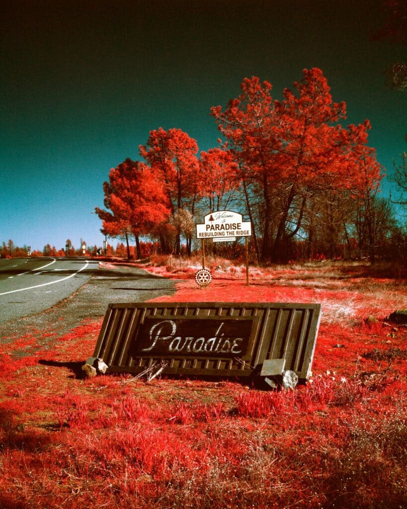 Skyway road. A new sign erected after Camp Fire indicates the rebuilding of the town. Camp Fire devastated 620 sq km of forest, destroying 18,800 houses with a death toll of 86 people, with another 3 injured and 11 still missing. The population of the town of Paradise was estimated at 26,000 inhabitants at the time of the fire. © Maxime Riche