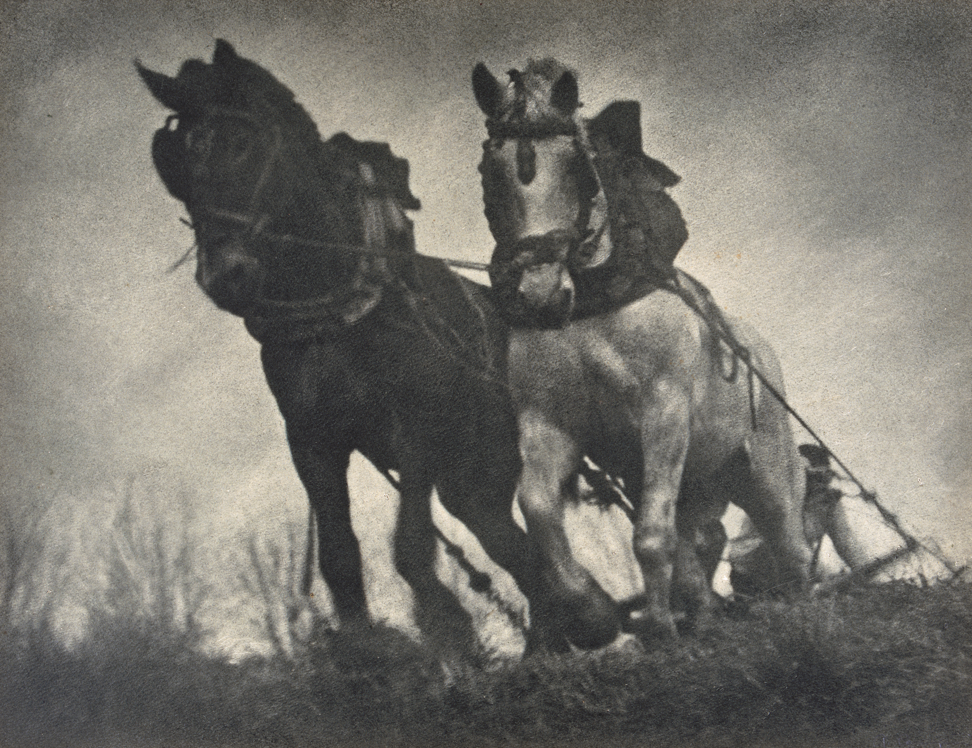 Tracción de sangre ("Traction of blood" or "Taking of blood"), 1933 © Arxiu Campañà. Antoni Campañà's most awarded pictorialist bromolithograph at international art photography shows in the early 1930s.
