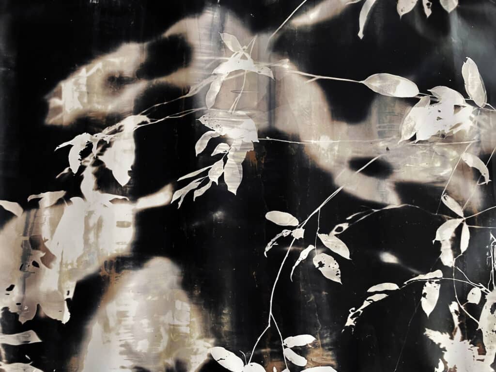 Roberto Huarcaya. Fragment Amazograms no. 5, photogram, 2022. Courtesy of the artist