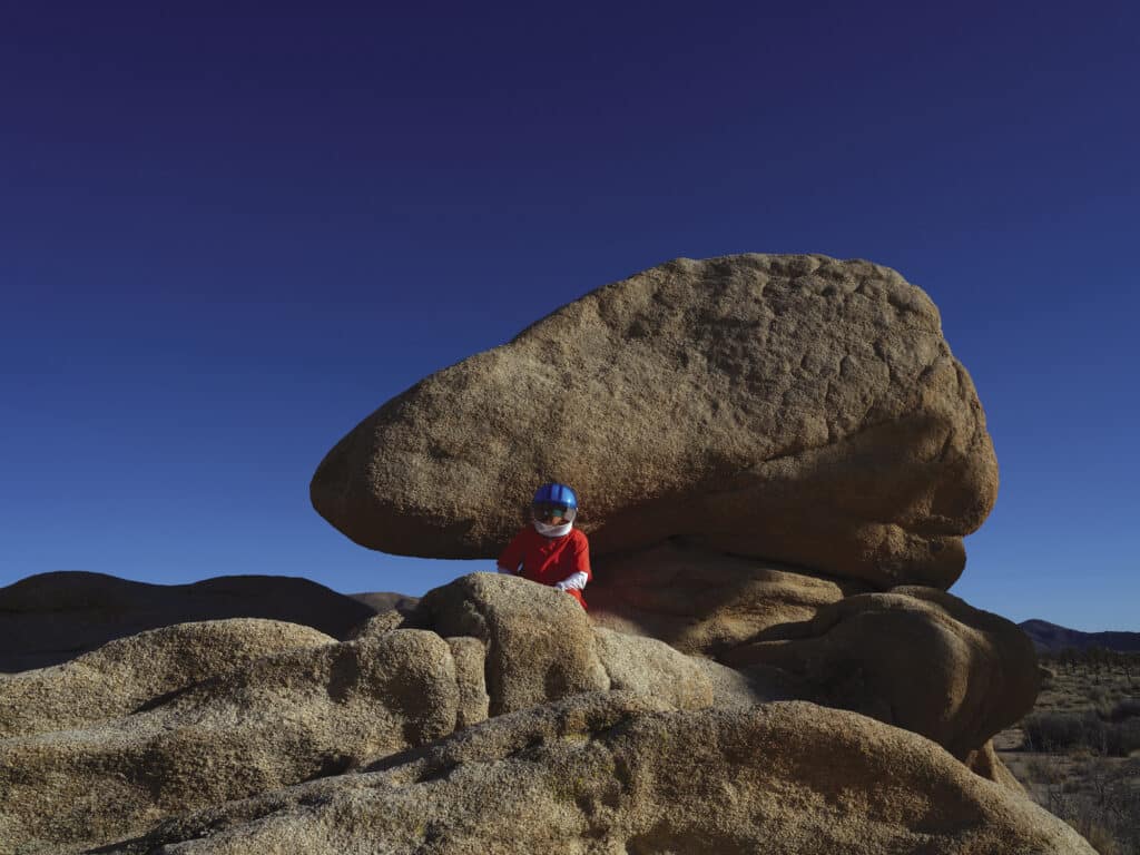 Joshua Tree (from syzygy, the vision)  