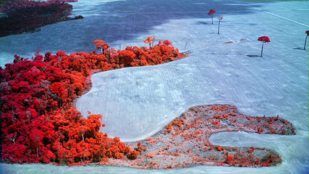 Richard Mosse, capture from Broken Spectre, Roraima, multispectral aerial GIS © Richard Mosse