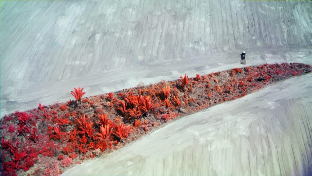 Richard Mosse, capture from Broken Spectre, Rondônia, multispectral aerial GIS © Richard Mosse