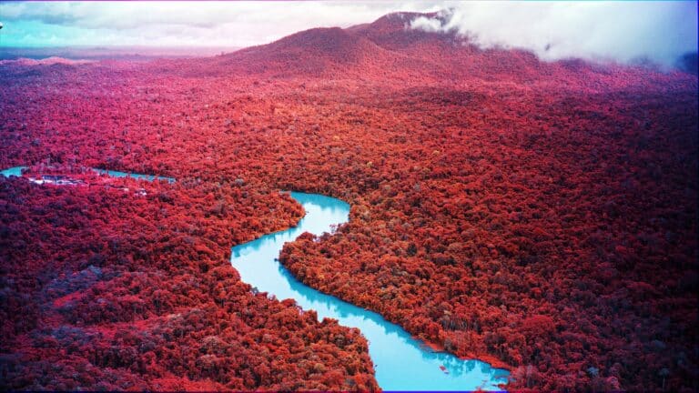 Richard Mosse, capture tirée de Broken Spectre, Roraima, SIG aérien multispectral © Richard Mosse