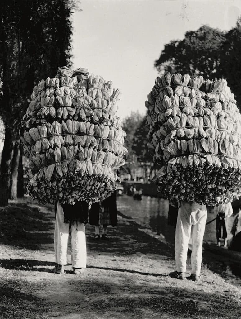 Tina Modotti Sans titre (Indiens transportant des chargements de feuilles de maïs pour la préparation des « tamales »), 1926-1929 Tirage gélatino-argentique 8,73 × 7,3 cm San Francisco Museum of Modern Art. Donation de l’Art Supporting Foundation, John « Launny » Steffens, Sandra Lloyd, Shawn et Brook Byers, Mr. et Mrs. George F. Jewett, Jr., et donateurs anonymes