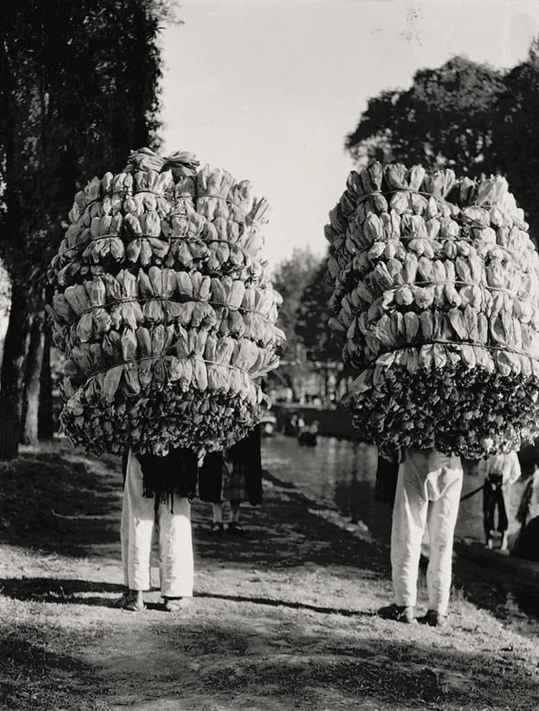 Tina Modotti, Untitled (Indians carrying loads of corn husks for the preparation of "tamales"), 1926-1929, San Francisco Museum of Modern Art. Gift of the Art Supporting Foundation, John "Launny" Steffens, Sandra Lloyd, Shawn and Brook Byers, Mr. and Mrs. George F. Jewett, Jr. and anonymous donors.