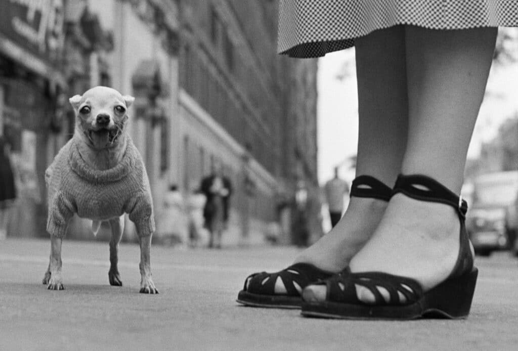 USA. New York, New York. Circa 1950. © Elliott Erwitt/Magnum Photos