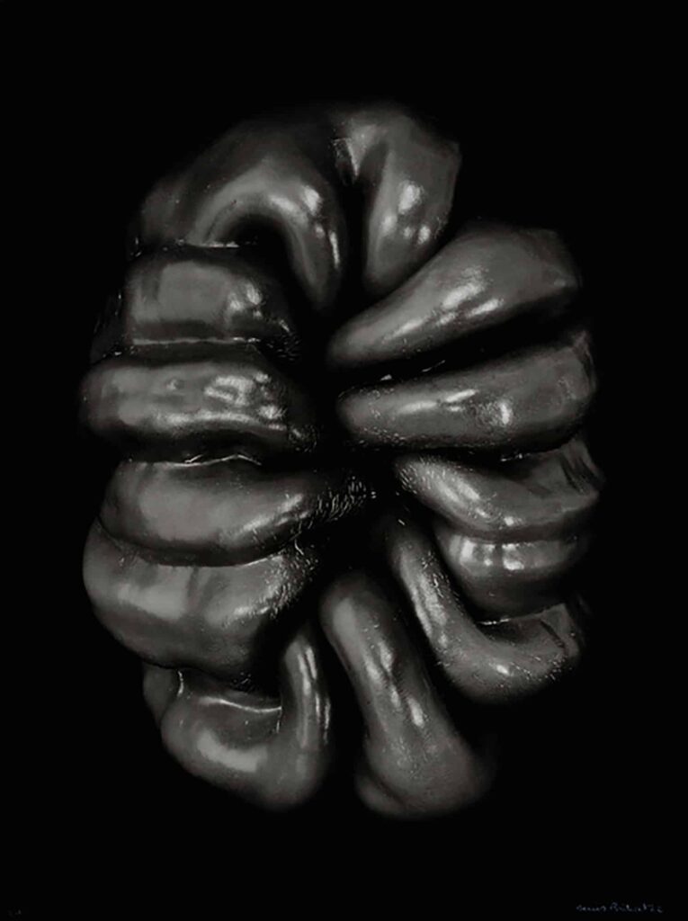 Poivron, 1962 © Denis Brihat