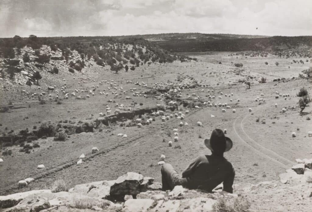 Emil Otto Hoppé, English (born Germany), 1878–1972; “Cowboy, Painted Desert, Arizona,” 1926, printed c.1950; gelatin silver print; image: 5 1/2 x 8 inches; Saint Louis Art Museum, Gift of Phillip Prodger and April Swieconek 32:2018