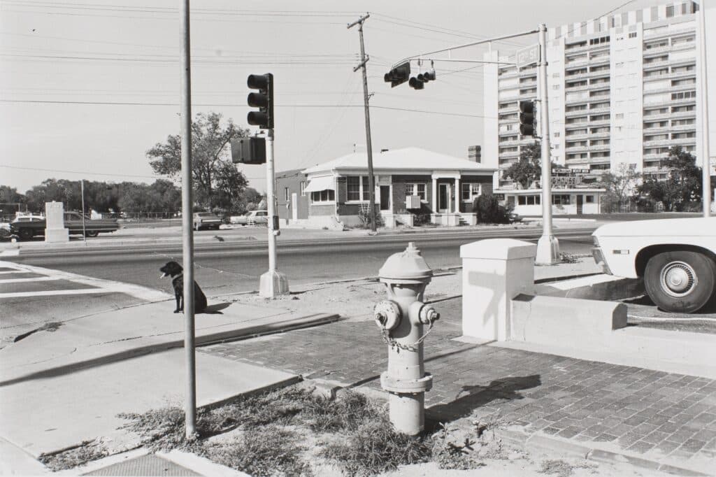 Lee Friedlander, American, born 1934; “Albuquerque, New Mexico,” 1972, printed 1978; gelatin silver print; image: 7 3/8 x 11 1/8 inches sheet: 11 x 14 inches; Saint Louis Art Museum, Martin Schweig Memorial Fund for Photography 799:1983; © Lee Friedlander, courtesy Fraenkel Gallery, San Francisco, and August Luhring, New York