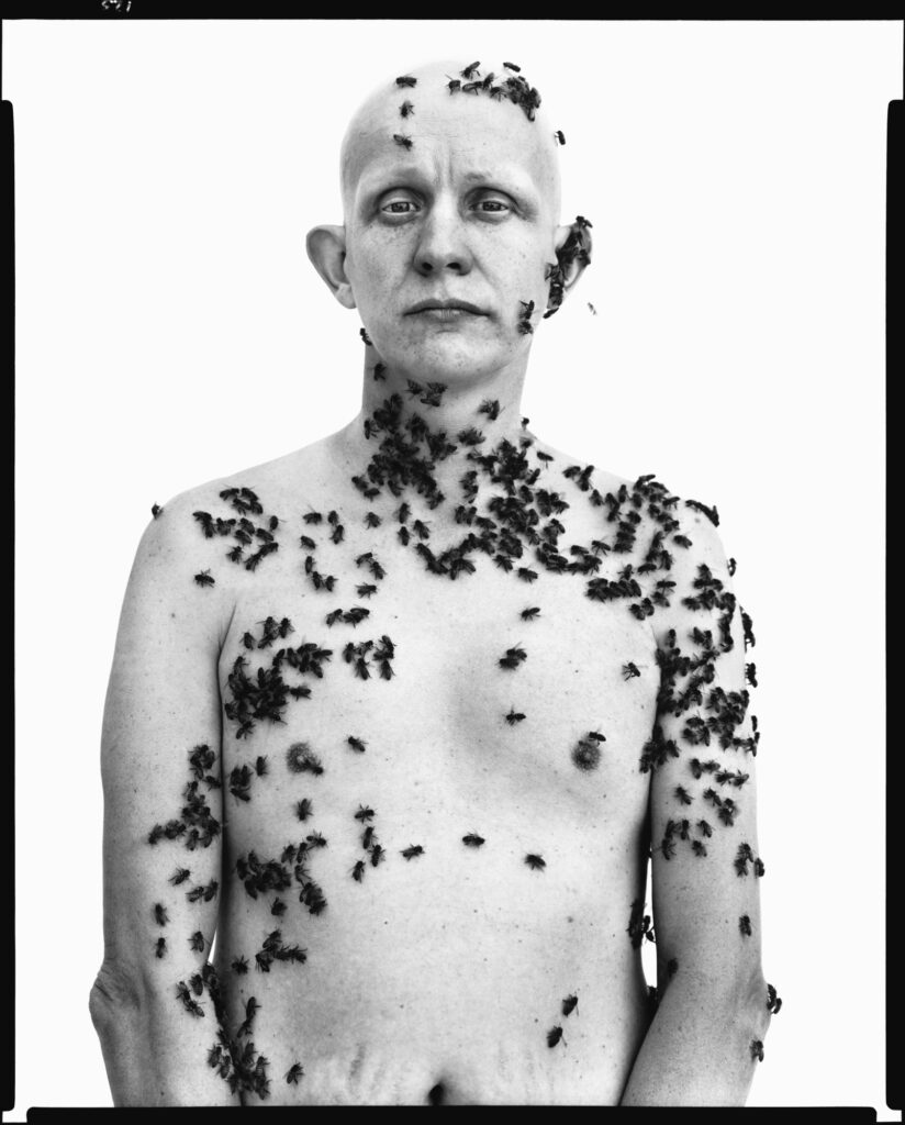 Ronald Fischer, beekeeper, Davis, California, May 9, 1981