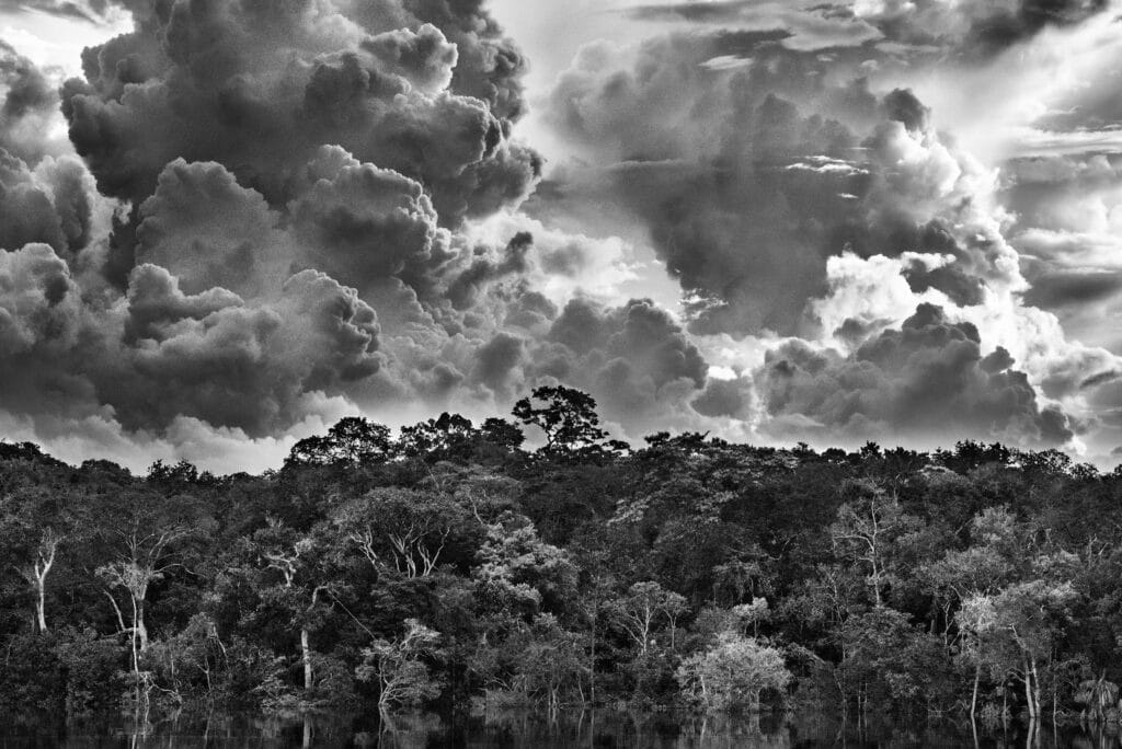 Mariuá river archipelago, Rio Negro, State of Amazonas, Brazil, 2019 © Sebastiao Salgado