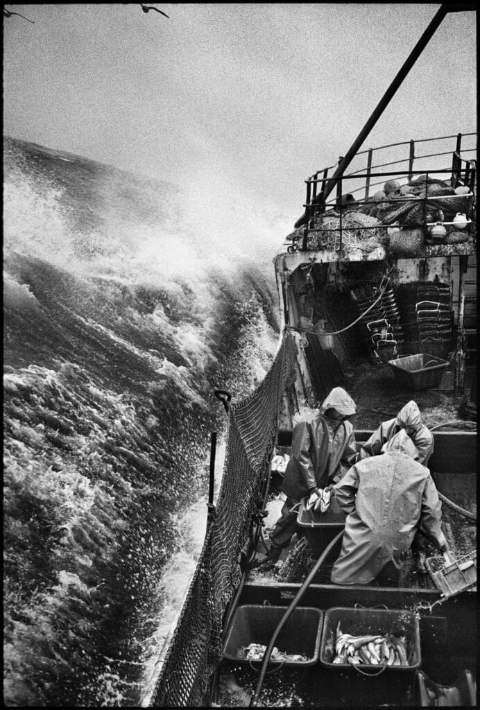 © Jean Gaumy / Magnum Photos, À bord du chalutier espagnol Rowanlea, Atlantique Nord, 1998