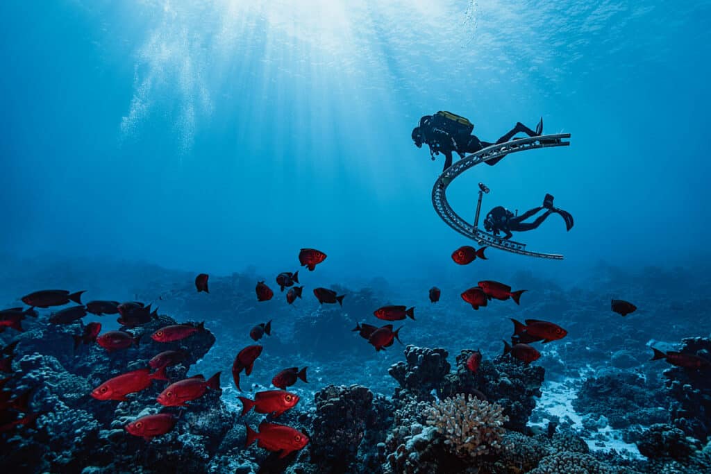 L’ARCHE D’IMADES - PASSE SUD DE L’ATOLL DE FAKARAVA, POLYNESIE FRANCAISE, - 25 M © Laurent Ballesta