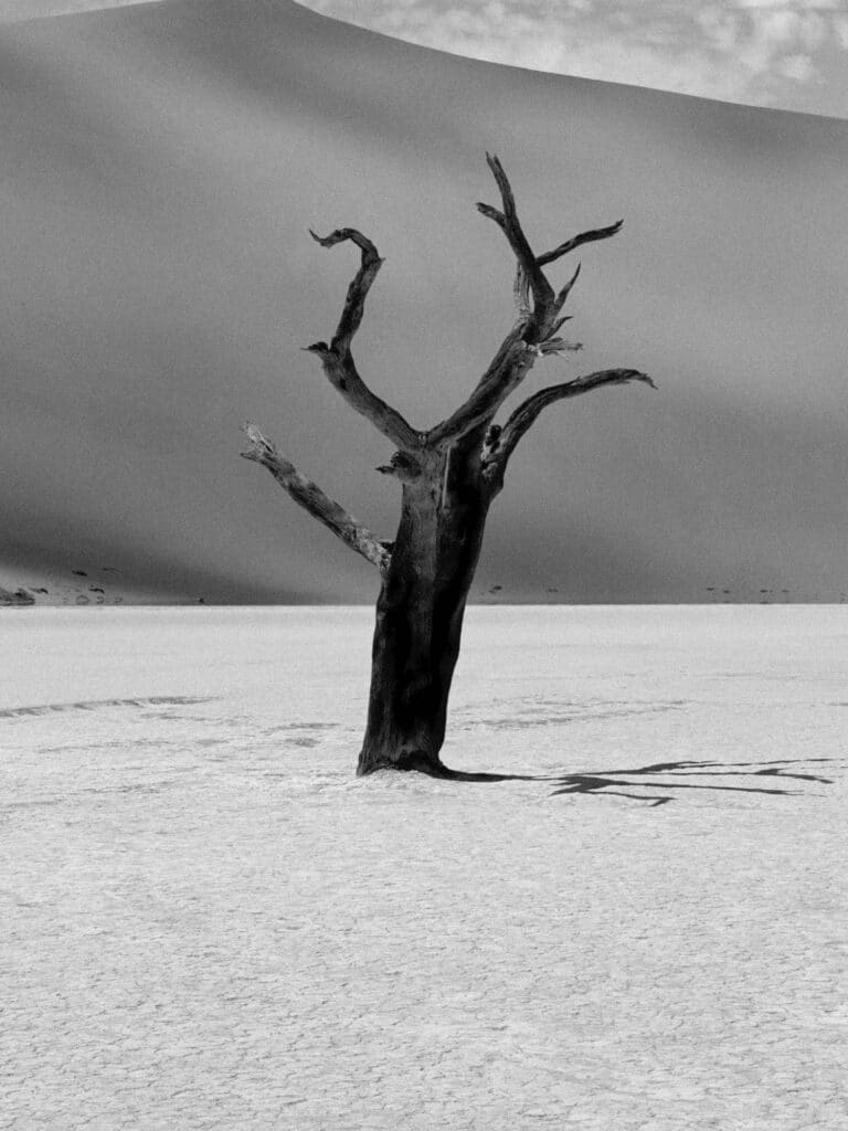 A thousand years old © Ruben Tomas