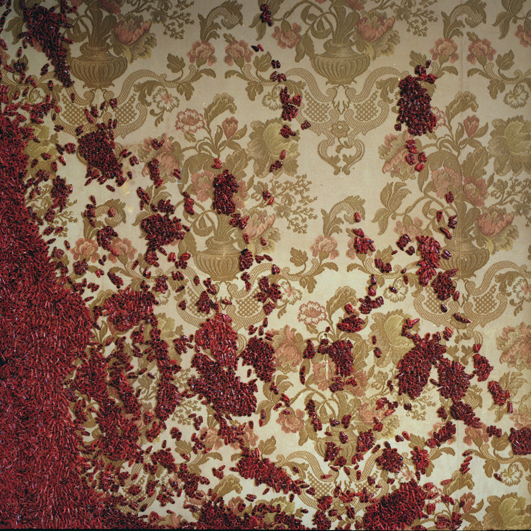 “Eruption”: Ukraine’s Swarming Insects